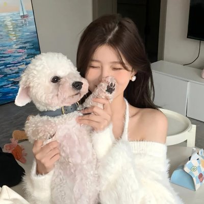 太太反击战